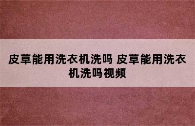 皮草能用洗衣机洗吗 皮草能用洗衣机洗吗视频